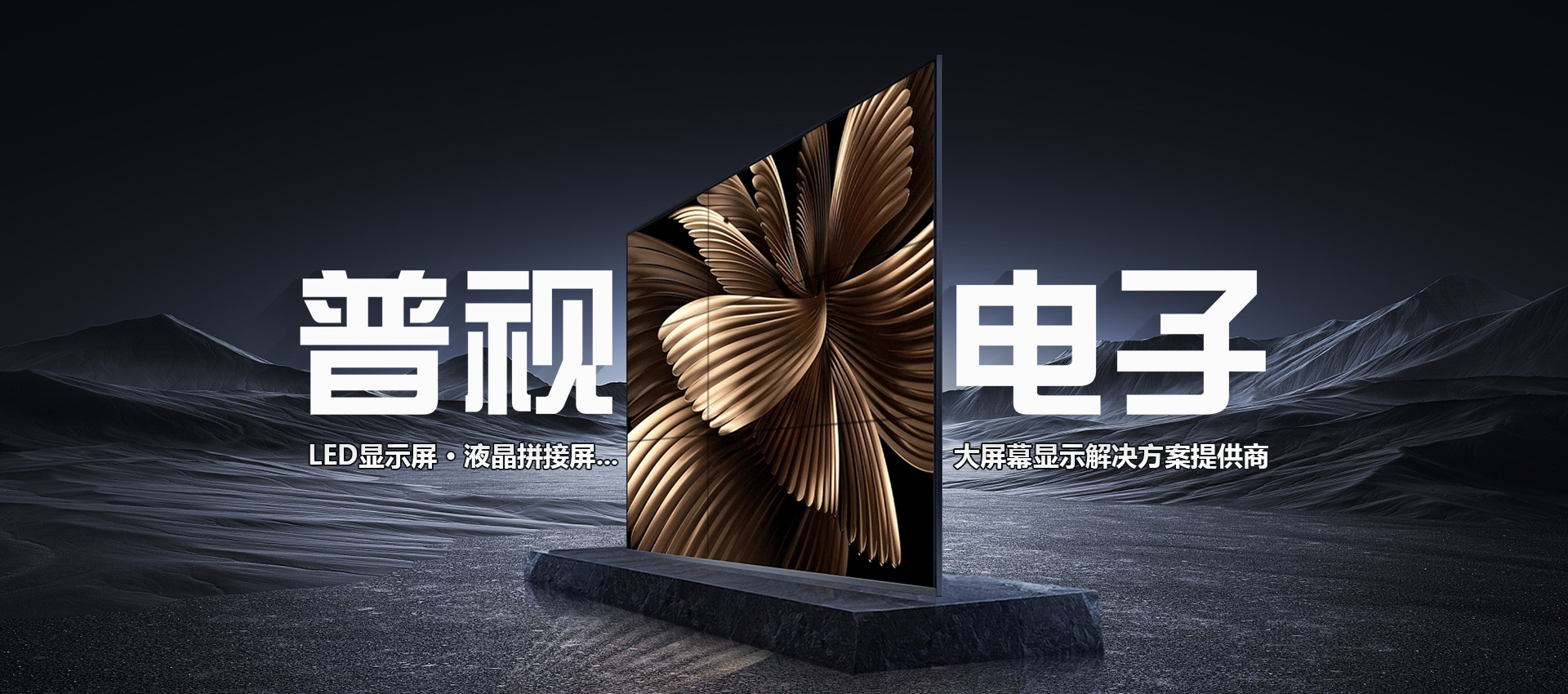 åˆè‚¥æ™®è¦–é›»å­ç§‘æŠ€æœ‰é™å…¬å¸